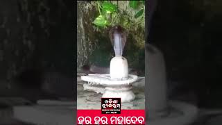 Hara Hara Mahade। Odisha Newsroom