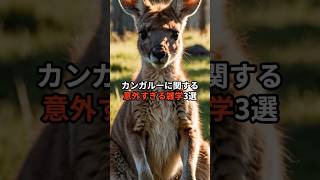 カンガルーに関する意外すぎる雑学3選 #雑学