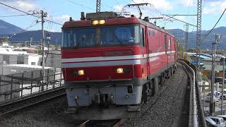 【4K】EH800-19 （青函トンネル用）95レ　2024/10/25　#EH800