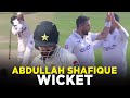 Abduallh Shafique Wicket | Pakistan vs England | 1st Test Day 4, 2024 | PCB | M3G1K