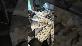 Jinhua Litchi Canned Multi-head Scale Filling Machine（金华荔枝罐头多头秤灌装机）