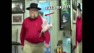 zaza expert (Discord Meme)