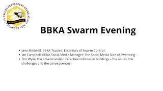 Swarm Talk