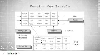 Database Terminology (CISSP Free by Skillset.com)