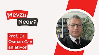 Mevzu Nedir? | Eski AYM raportörü Prof. Can, 6'lı masanın anayasa değişikliği önerisini yorumluyor