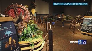 Explore the prehistoric past in Big Island's newest exhibit