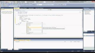Do Loops in Visual Basic 2010 (Do While)