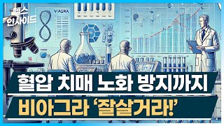 [헬스인사이드] 혈압 치매 노화 방지까지 비아그라 '잘살거라!' / 머니투데이방송