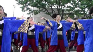 豊川よさこいinおいでん祭2011　　総踊り　トモじゃん