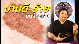 พลังธูปปรับชีวิต | ปานดี ปานร้ายบนร่างกาย บนร่างกาย 14/06/62