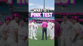 What is Pink Test Match, Which Will Play Between IndvsAus In Sydney #shorts