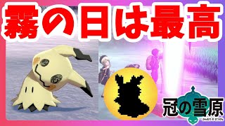 【ポケモンソードシールド】霧の日は最高にレアがいっぱい！冠の雪原【エキスパンションパス】