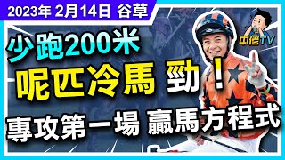 【中佬賽馬貼士】（2月15日 谷草夜賽）谷草跑少200米尼匹冷馬好鬼勁！ ｜專攻第一場｜R1-2-3 3穿4真飛攻略🏆｜贏馬方程式 #賽馬賠率 #賽馬直播 #賽馬貼士#冷馬#過關#爆冷#梁家俊