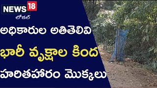 Bhadradri : భారీ వృక్షాల కింద హరితహారం మొక్కలు నాటిన అధికారులు!