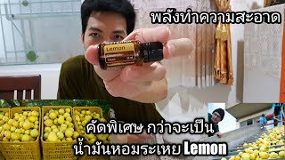 การใช้งานน้ำมันหอมระเหย Lemon