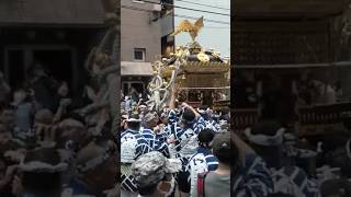 2023 鳥越祭 浅三 渡御  ヤバすぎるド迫力 千貫本社神輿  鳥越神社 #shorts