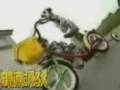 Dalmata en bici
