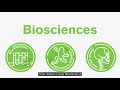 3 Reasons to Study Biosciences at the University of Birmingham