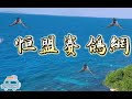 信鴿南聯船隊2024南海春季第一關，放鴿地氣候：陰天、東北風、四級、中浪、能見度12公里 pigenos 賽鴿 恆盟賽鴿網 春季比賽 第一關 放鴿實況