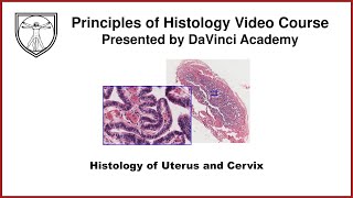 Histology of Uterus and Cervix [Female Reproductive Histology Part 2 of 2]