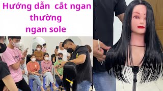 Hướng dẫn cắt ngan bầu ngan sole (p2)