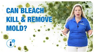 Can Bleach Kill \u0026 Remove Mold From Hard Surfaces?