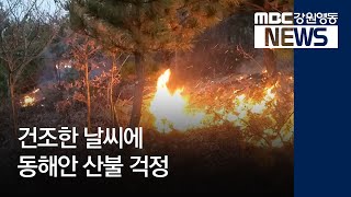 [뉴스리포트]건조한 날씨에 동해안 산불 걱정181129