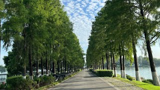 Cycling around the East Lake #wuhan #eastlake #cycling