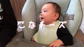 【離乳食116日目】初めて粉チーズを食べた赤ちゃん【生後9ヶ月】