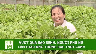 Thủ lĩnh viết ước mơ từ rau thủy canh | VTC16