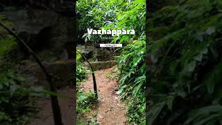 വാഴപ്പാറ വെള്ളച്ചാട്ടം /Vazhappara waterfall