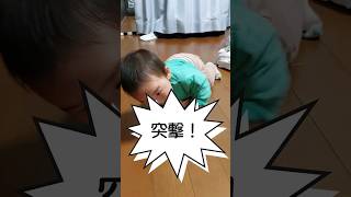 《生後八ヶ月》余裕の動き#成長#おしゃべり#おしゃべり#ショート#0歳 #shortvideo#癒し#育児#赤ちゃん#あかちゃんのいる生活#生後8か月 #shorts#short#日常#ハイハイ