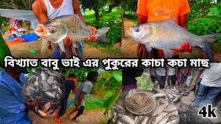 বিখ্যাত বাবু ভাই এর পুকুরে কচা কচা সাইজ এর মাছ ধরা । টিকেটে সেরা মাছ ধারা।#bestfishing #bangladesh