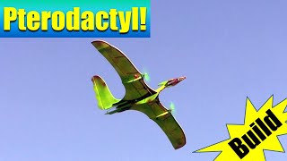 How to Build \u0026 Fly a Lightweight RC Pterodactyl | 250g DIY Twin Motor  RX42BL Aircraft Guide