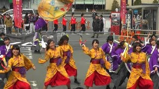 大阪大　祭楽人　浜松がんこ祭2017　浜松城公園B会場