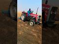 Massey Ferguson 241di cultivator performance #viral#tractor#shorts