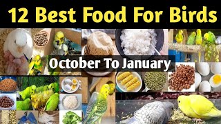 12 Best Food For Birds In Winter | Budgies Winter Food | Budgies Winter Diet | Budgies Breeding Diet