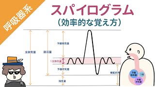 【国試対策】スパイログラム（前編）「一回換気量、予備吸気量、予備呼気量、残気量」