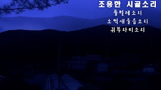 조용한 시골밤 풀벌레소리ㅣ소쩍새 울음소리ㅣ귀뚜라미소리 ASMR