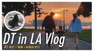 如果雲知道...嗎？｜逃犯X海獅X結婚紀念日《DT in LA Vlog#3 》