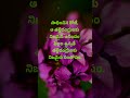 neethi vakyalu 686 manchi matalu quotations top matalu jeevitha satyalu telugu sukthulu