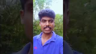 அரிசோனாவில் இதை செய்தால் 25 வருசம் சிறைத் தண்டனை #shorts #shortsfeed