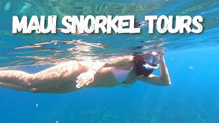 Maui Snorkel Tours - Kahekili Beach Park \u0026 Honokeana Bay