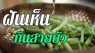 ทำนายฝัน ฝันเห็น ... กินสายบัว ... ทำนายความฝันและตีเลขเด็ดจากความฝันได้ดังนี้