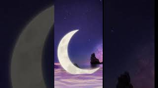 Romantic moonlight Animated