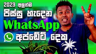 WhatsApp New Tips And Tricks 2023 - Sinhala | WhatsApp New Update | WhatsApp New Features Sinhala