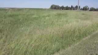 North Dakota Curious - Prairie Wind