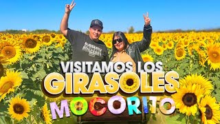 VISITAMOS EL PUEBLO DE MOCORITO | El campo de GIRASOLES es IMPRESIONANTE 🤩