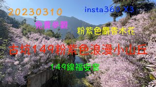 萬ㄟeye台灣20230310古坑149粉紫色浪漫小山丘/福德宮/麝香木花/insta360 X3 /雲林古坑麝香花木  4K