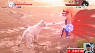 Naruto Versi Kucing 😂😂😂
